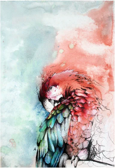 A red and green parrot on a pale washed ground