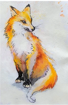 A seated fox looking to the side