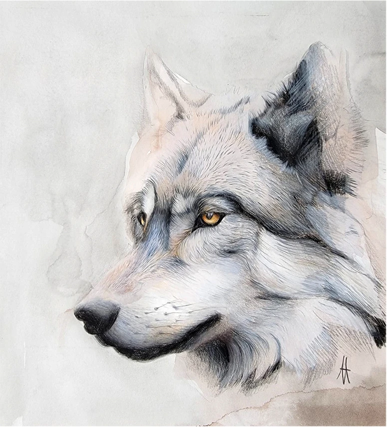 A wolf's head in profile with amber eyes