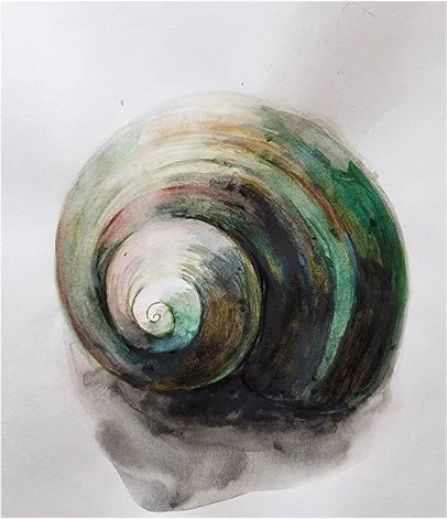 A green snail shell