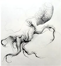 A small octopus with a wrinkled head