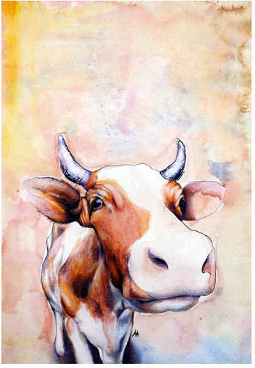 A brown and white cow facing the viewer