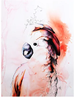 A cockatoo in red and pale washes