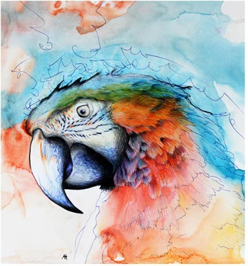 A macaw's head in blue, orange and green