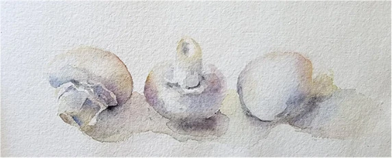Three mushrooms