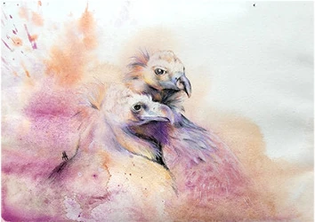 Two birds in pink and violet washes