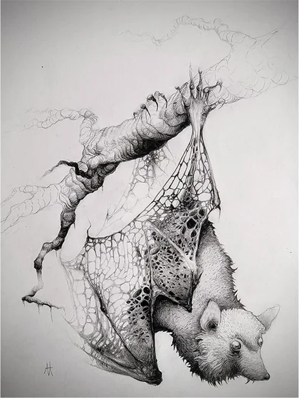 A bat hanging upside down from a branch, wings half open