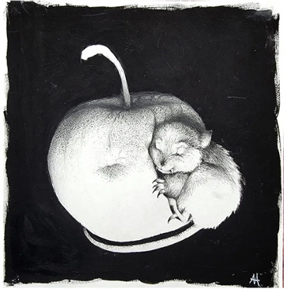 A sleeping mouse curled inside an apple, on black