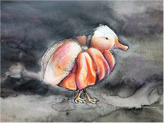 An orange chick on a dark ground
