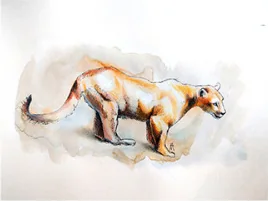 A small dog walking, in warm washes