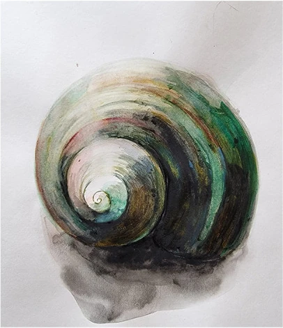 A green snail shell