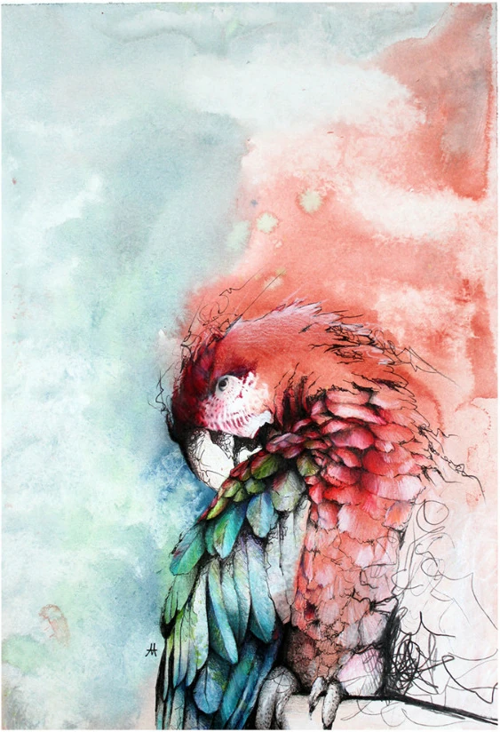 A red and green parrot on a pale washed ground