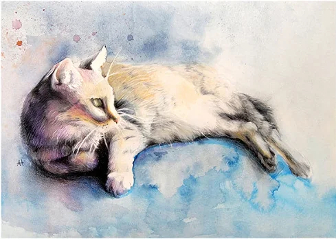 A tabby cat lying on its back on a blue cloth