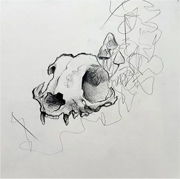 A cat skull with small mushrooms growing from it