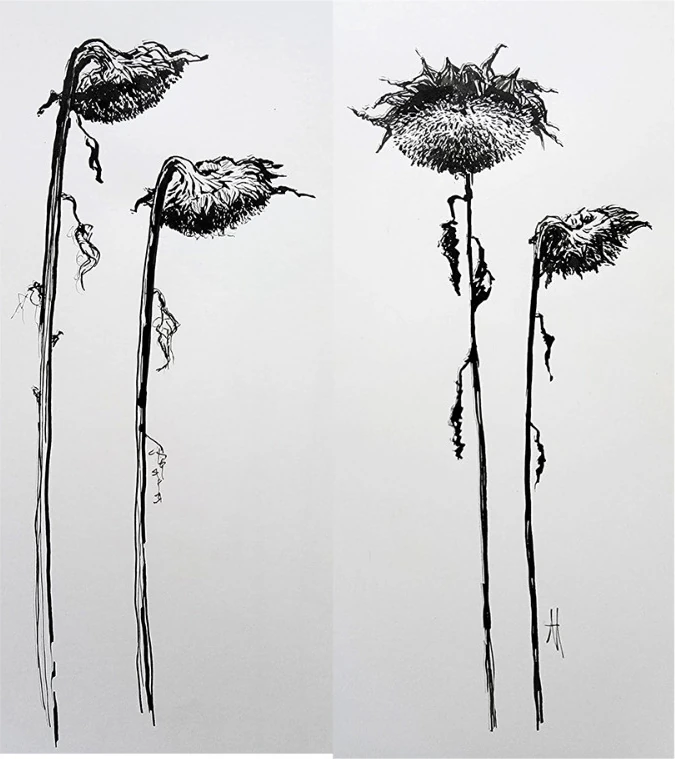 Dried sunflowers on tall stems, in two panels