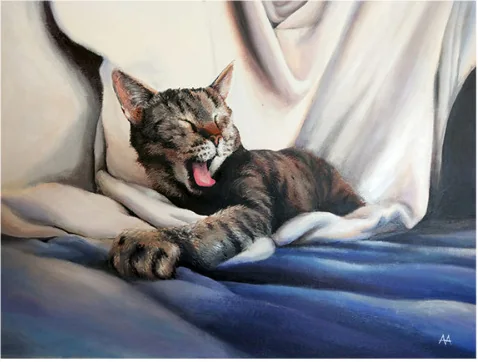 A yawning tabby cat on blue and white bedding