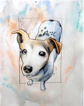 A dog with one folded ear looking upward