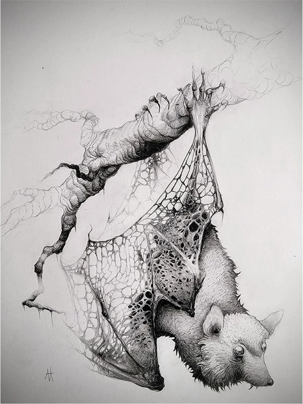 A bat hanging upside down from a branch, wings half open