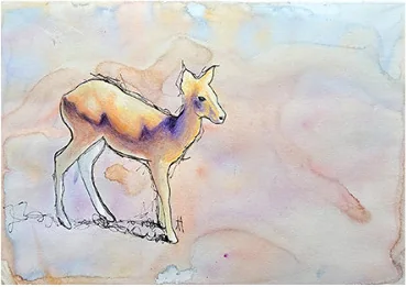 A young deer walking on a pale ground