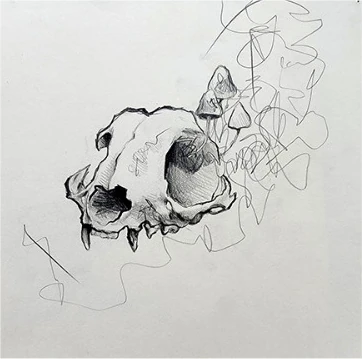 A cat skull with small mushrooms growing from it