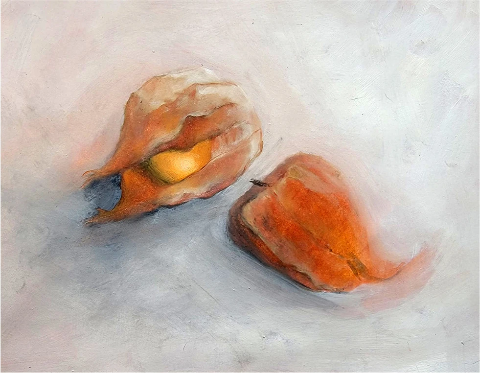 Two physalis fruits, one open