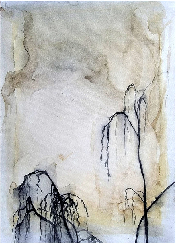 Branches of a weeping tree against a pale washed ground