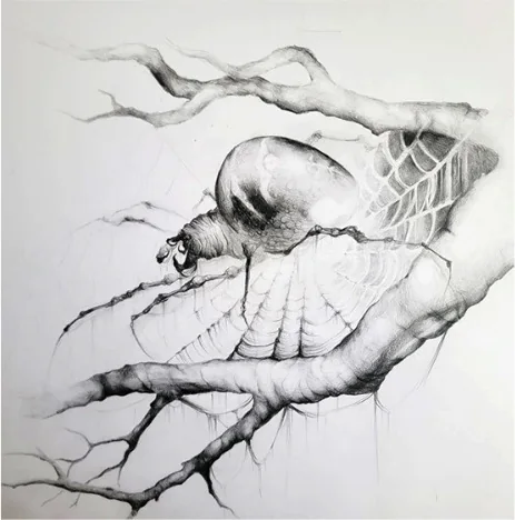 A skull and web on a bare branch