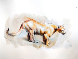 A small dog walking, in warm washes