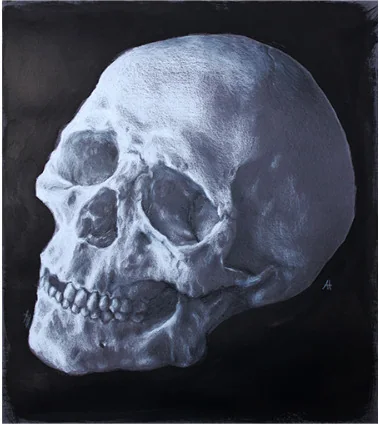 A human skull on a black ground