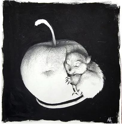 A sleeping mouse curled inside an apple, on black