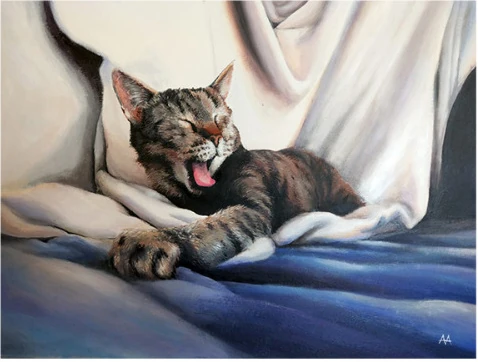 A yawning tabby cat on blue and white bedding