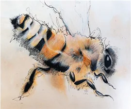 A bumblebee in close view