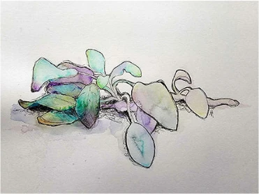 Leaves in muted green and violet