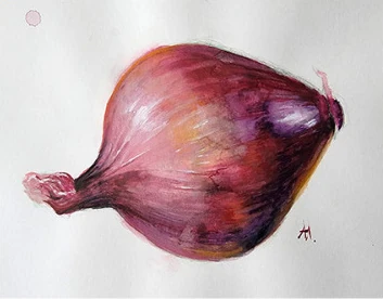 A red onion lying on its side