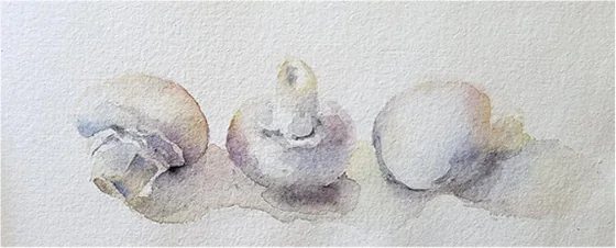 Three mushrooms