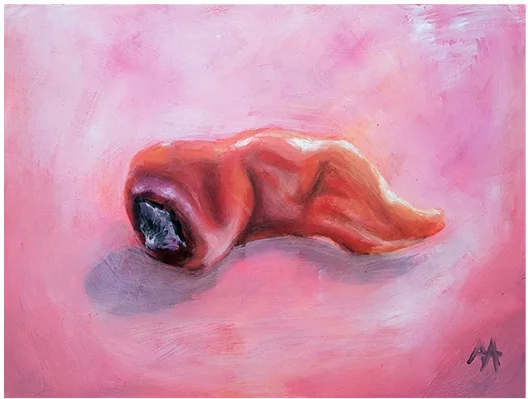 A red chilli on a pink ground